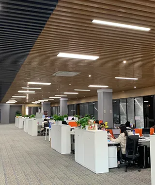 Safe and Healthy Work Environment